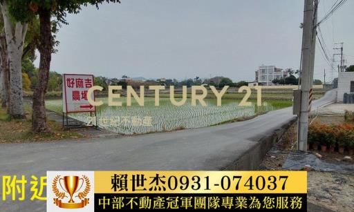 台中農地-9