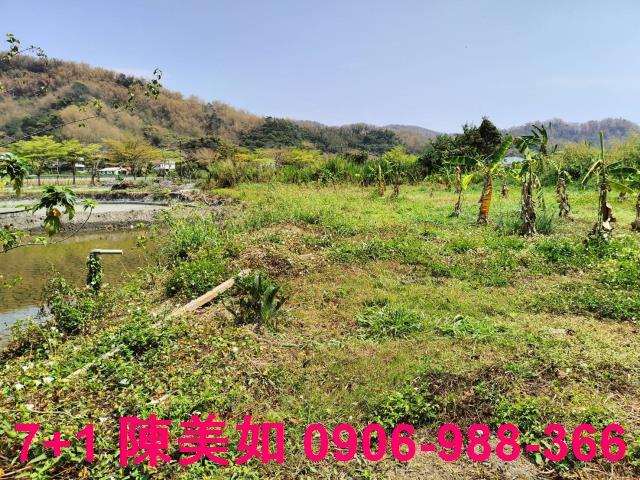 高雄農地-1