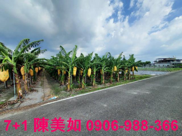 高雄農地-1