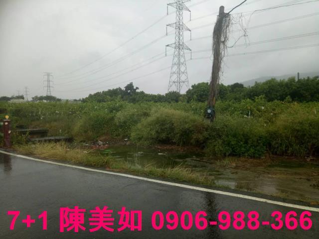 高雄阿蓮農地-1