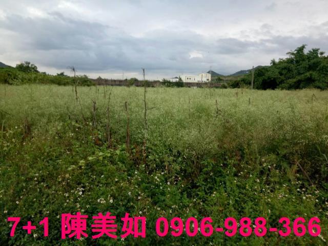 高雄阿蓮農地-1