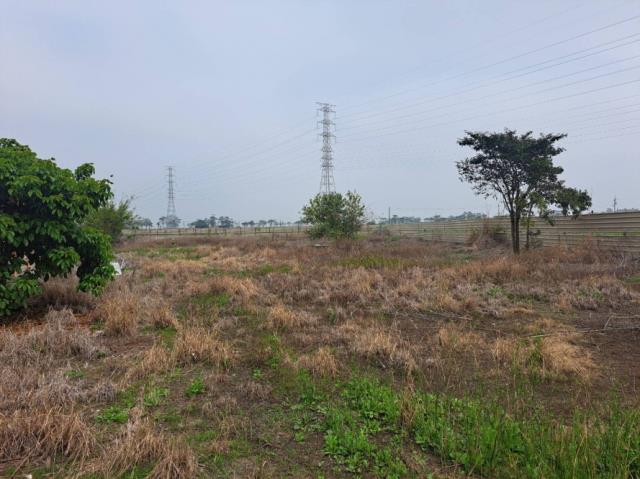 台南六甲農地-10