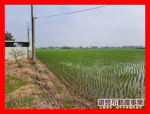 台南六甲農地-1