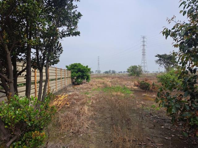 台南六甲農地-6
