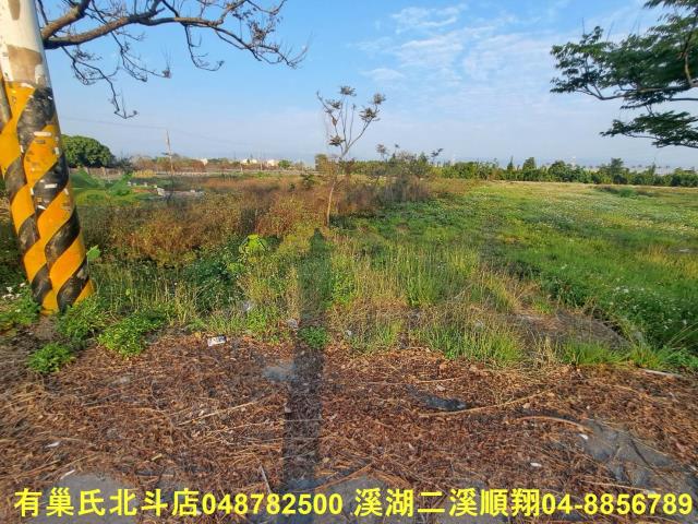 田中農地-1