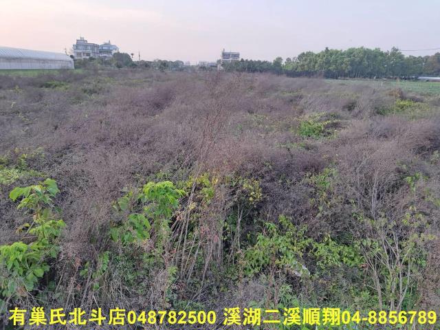 田尾農地-4