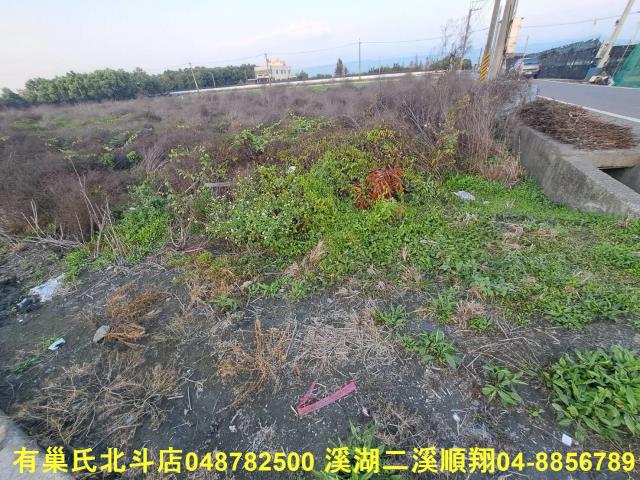 田尾農地-5
