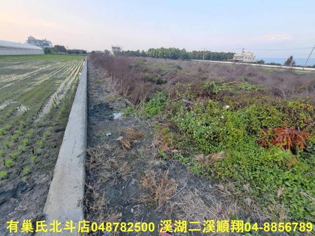 田尾農地-6