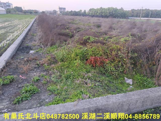 田尾農地-7