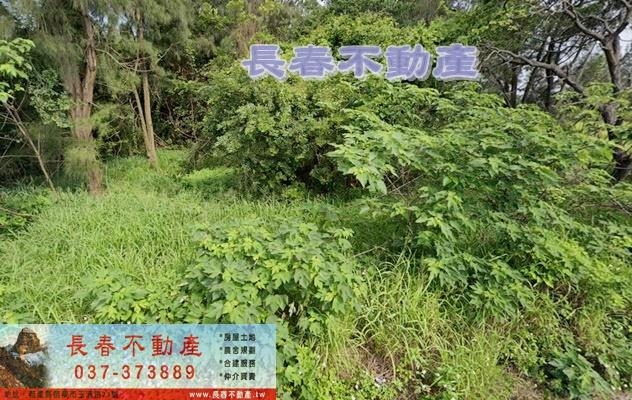 苗栗後龍農地-1