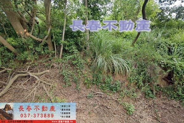 苗栗苗栗市農地-1
