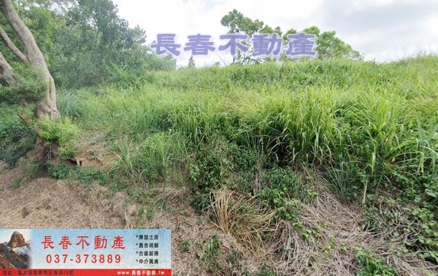 苗栗苗栗市農地-2