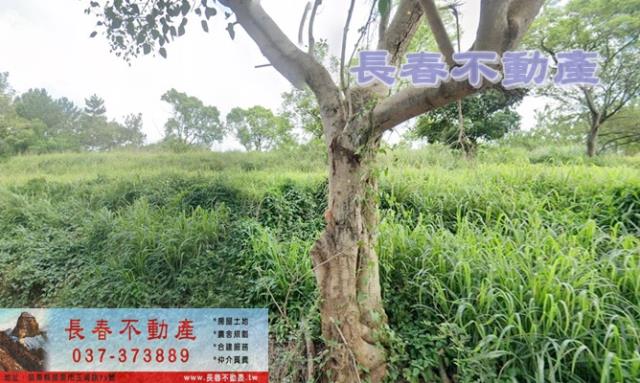 苗栗苗栗市農地-1