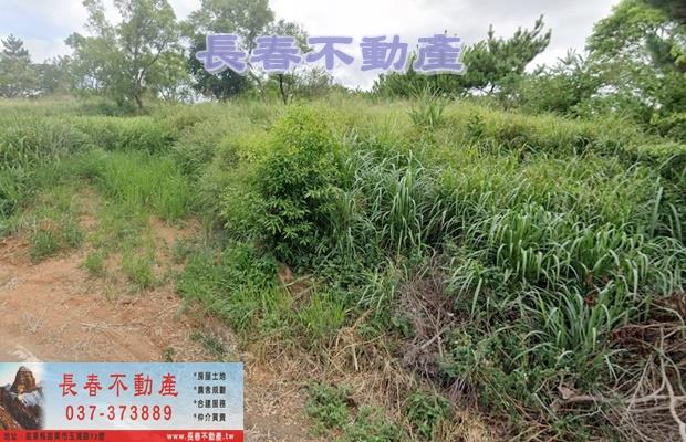 苗栗苗栗市農地-2