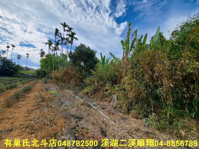 南投名間農地-10