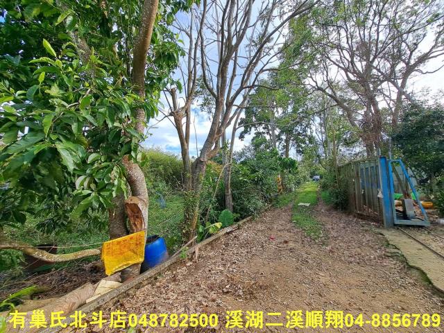 南投名間農地-13