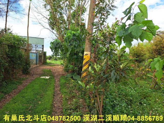南投名間農地-2