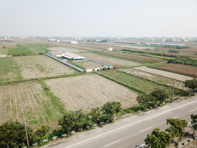 大園農地-2