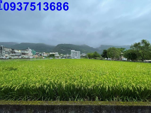 宜蘭農地-3