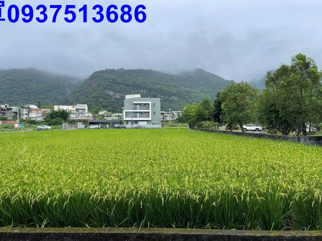 宜蘭農地-8
