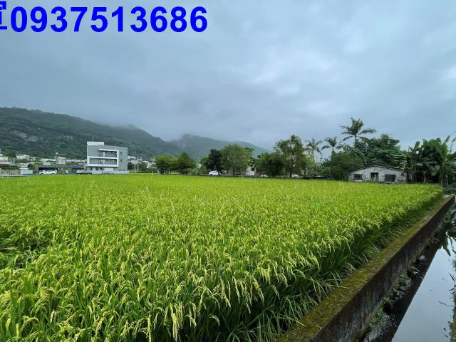 宜蘭農地-9