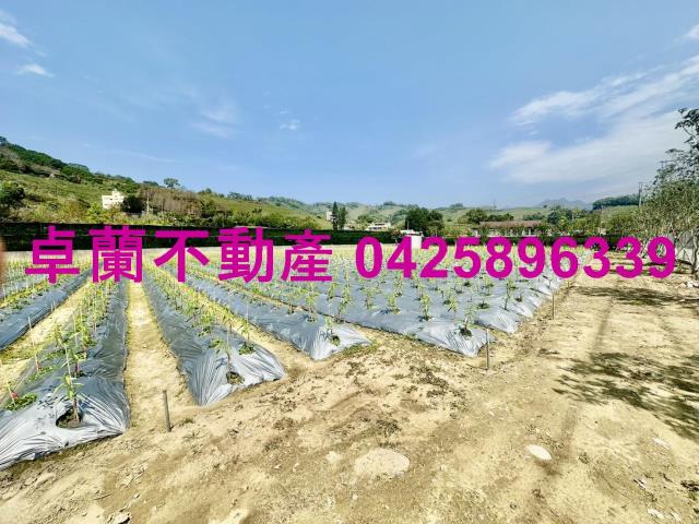 苗栗卓蘭農地-1