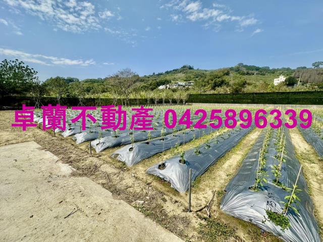 苗栗卓蘭農地-2