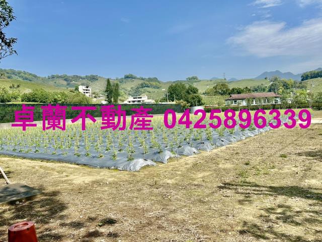 苗栗卓蘭農地-8