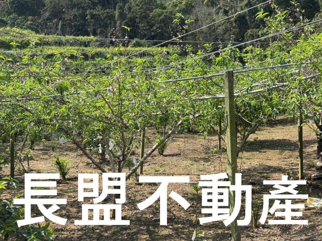 台中東勢休閒地-1