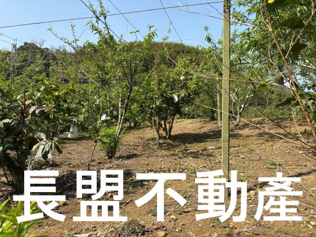 台中東勢休閒地-2