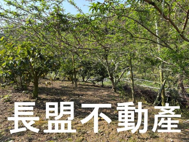 台中東勢休閒地-3