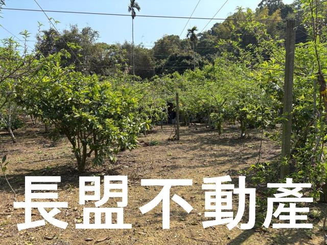 台中東勢休閒地-4