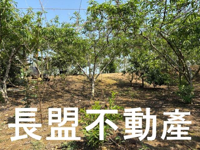 台中東勢休閒地-5
