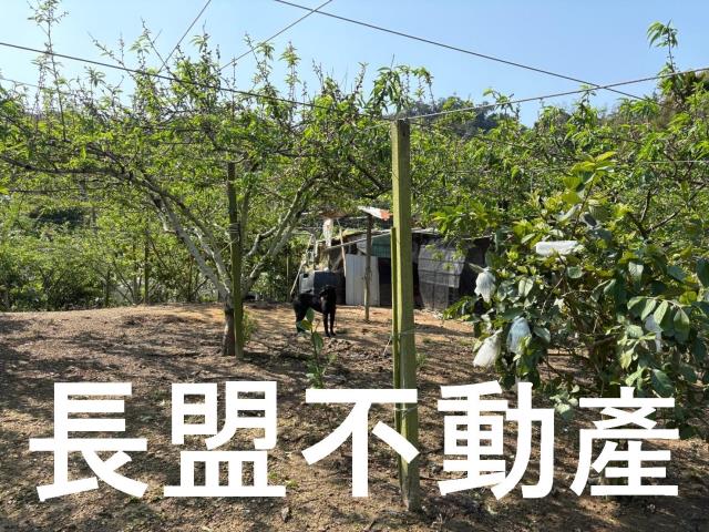 台中東勢休閒地-8