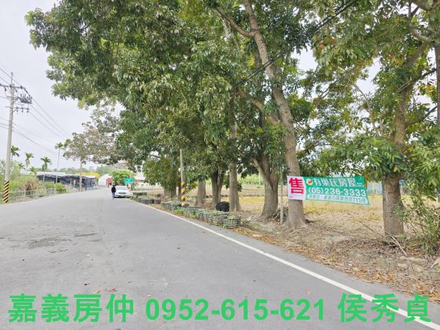 中埔農地-1