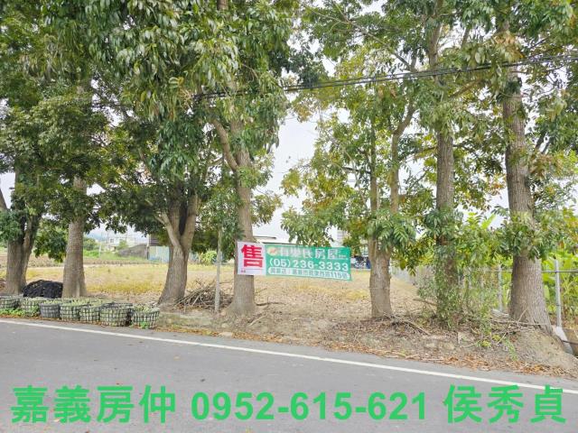 中埔農地-2