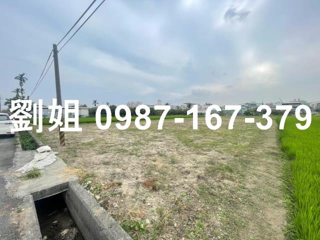 高雄大寮農地-1