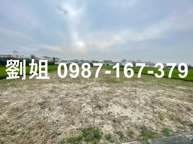 高雄大寮農地-2