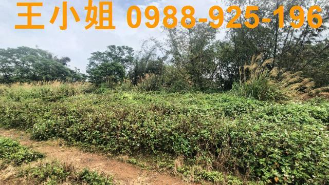 桃園龍潭建地-3
