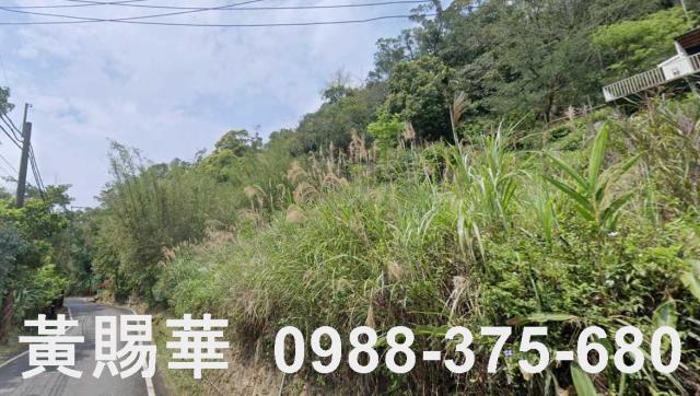 新竹關西農地-6