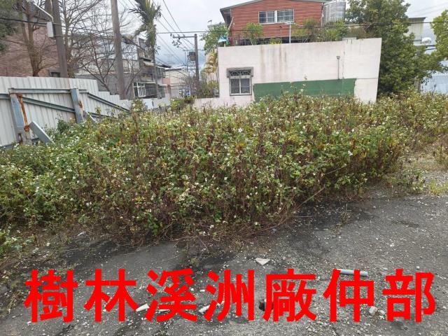 龜山山坡地-10