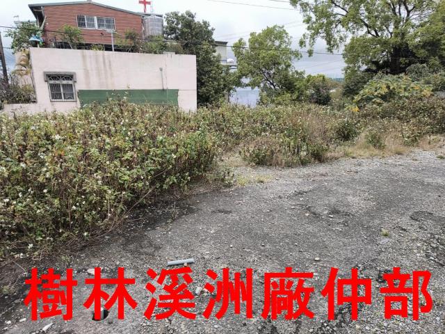 龜山山坡地-4