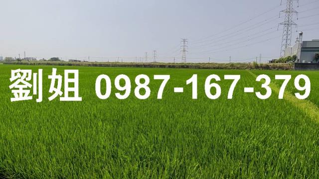 路竹農地-3