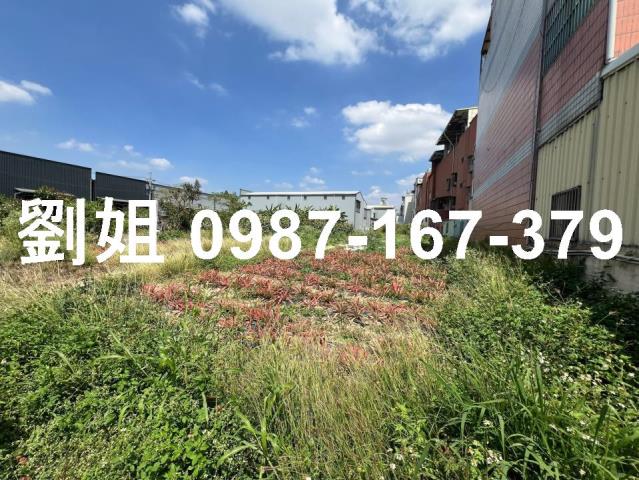 大樹農地-1