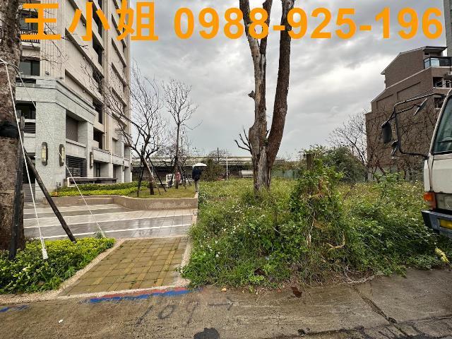 桃園建地-1