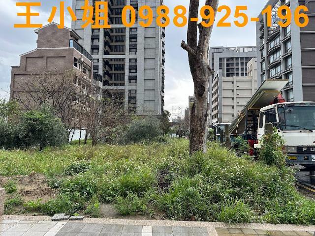 桃園建地-2