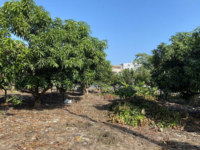 高雄阿蓮建地-7