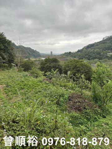 橫山農地-12