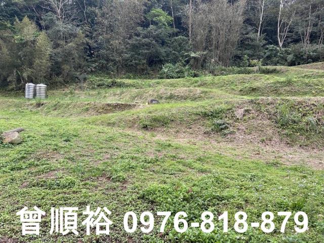 橫山農地-7