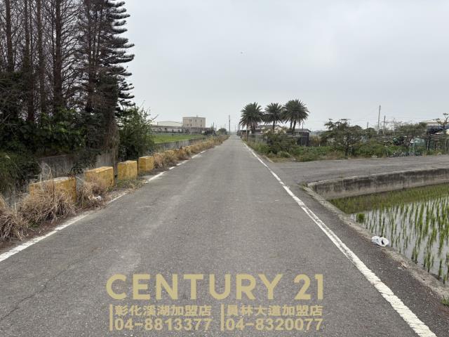 埤頭農地-5